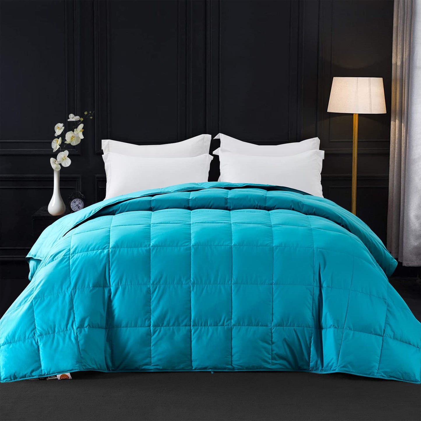 Globon Extra Lightweight Down Blanket Queen Size,Summer Comforter/Duvet Insert,10OZ,700 Fill Power with 8 Corner Tabs,Turquoise Blue