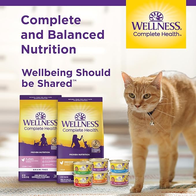 Wellness Complete Health Pate Adult Wet Cat Food, Natural, Protein-Rich, Grain Free, 3 Ounce, 24 Pack, (Chicken & Lobster)