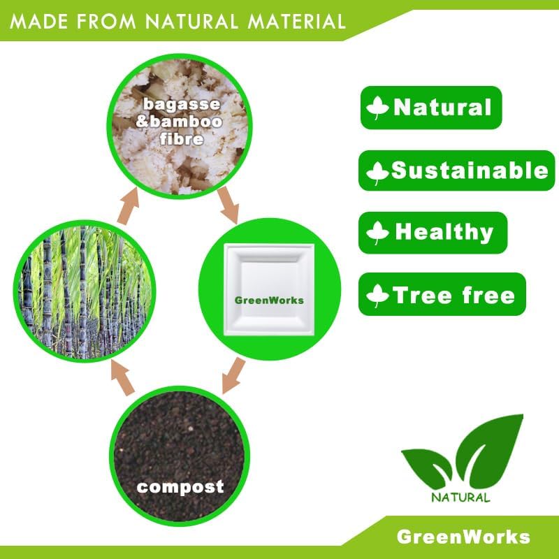 GreenWorks 100 Count 10 Inch Large Square Compostable plates, Biodegradable Bagasse and Bamboo Fiber Plates