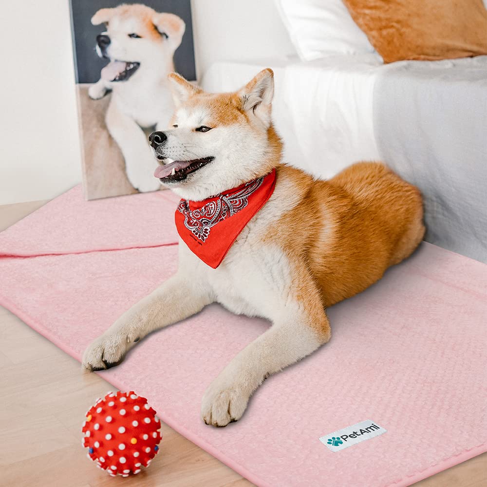 PetAmi Waterproof Dog Blanket, Leakproof Puppy Blanket for Small Medium Dogs, Furniture Sofa Couch Cover Protector, Fleece Pet Throw for Indoor Cat Kitten, Reversible Washable Soft Plush, 29x40 Pink