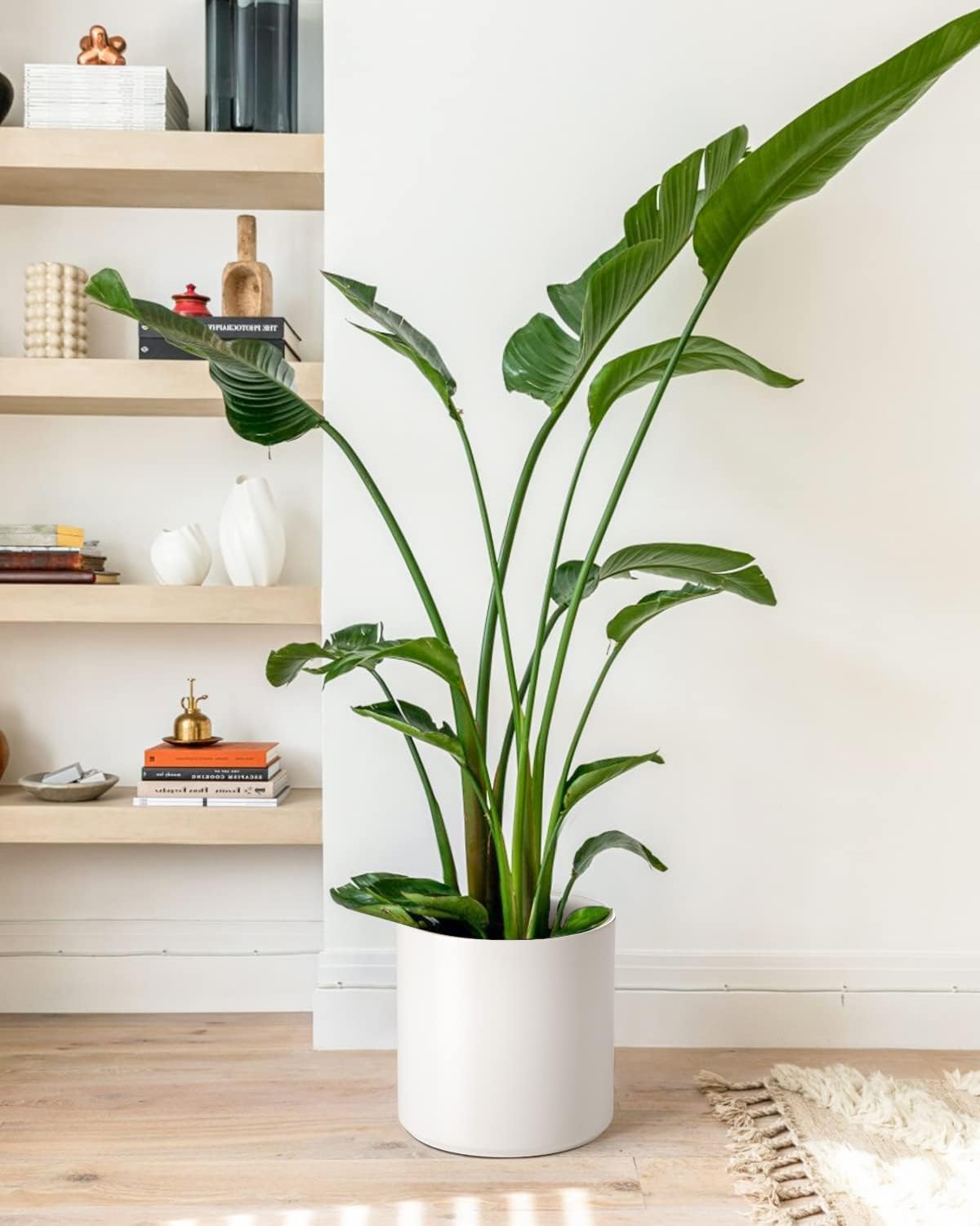 Matte White 8 Inch Ceramic Flower Pot with Non-Slip Base, Handmade Straight Cylinder Planter with Drainage Hole, Modern Minimalist Design for Indoor/Outdoor Plants, Succulents, Herbs, and Home Decor