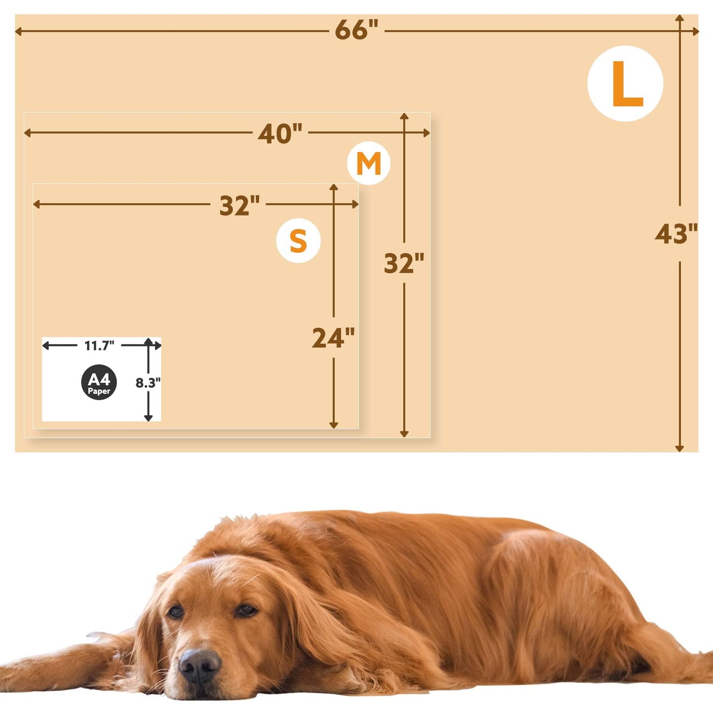 Stuffed Premium Soft Dog Blanket, with Flannel Beige Cute Paw Print, 24 * 32 inches, Cat Blanket Puppy Supplies Dog Products Stuff Essentials