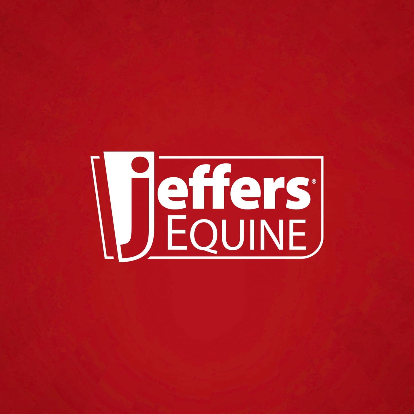 Jeffers Expression Oversized Fleece Throw Blanket, Party Cheetah Pattern, 60"x 84"- Comfy, Lightweight, Super Soft, Anti-Pilling, Cozy Blankets - Good for Home Use, Couch, Bed, Camping, Travel