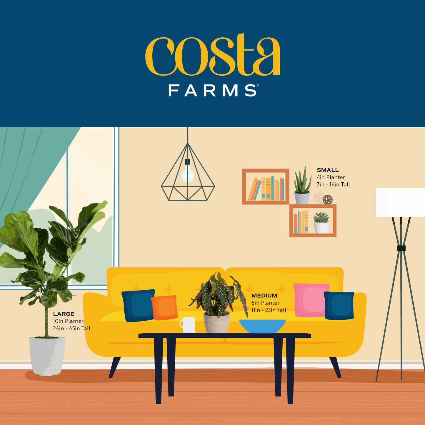 Costa Farms Live Plants (3 Pack), Easy to Grow Real Indoor Houseplants, Air Purifying Plants, Grower's Choice in Home Décor Indoors Plant Pots, New House Gift or Room Décor