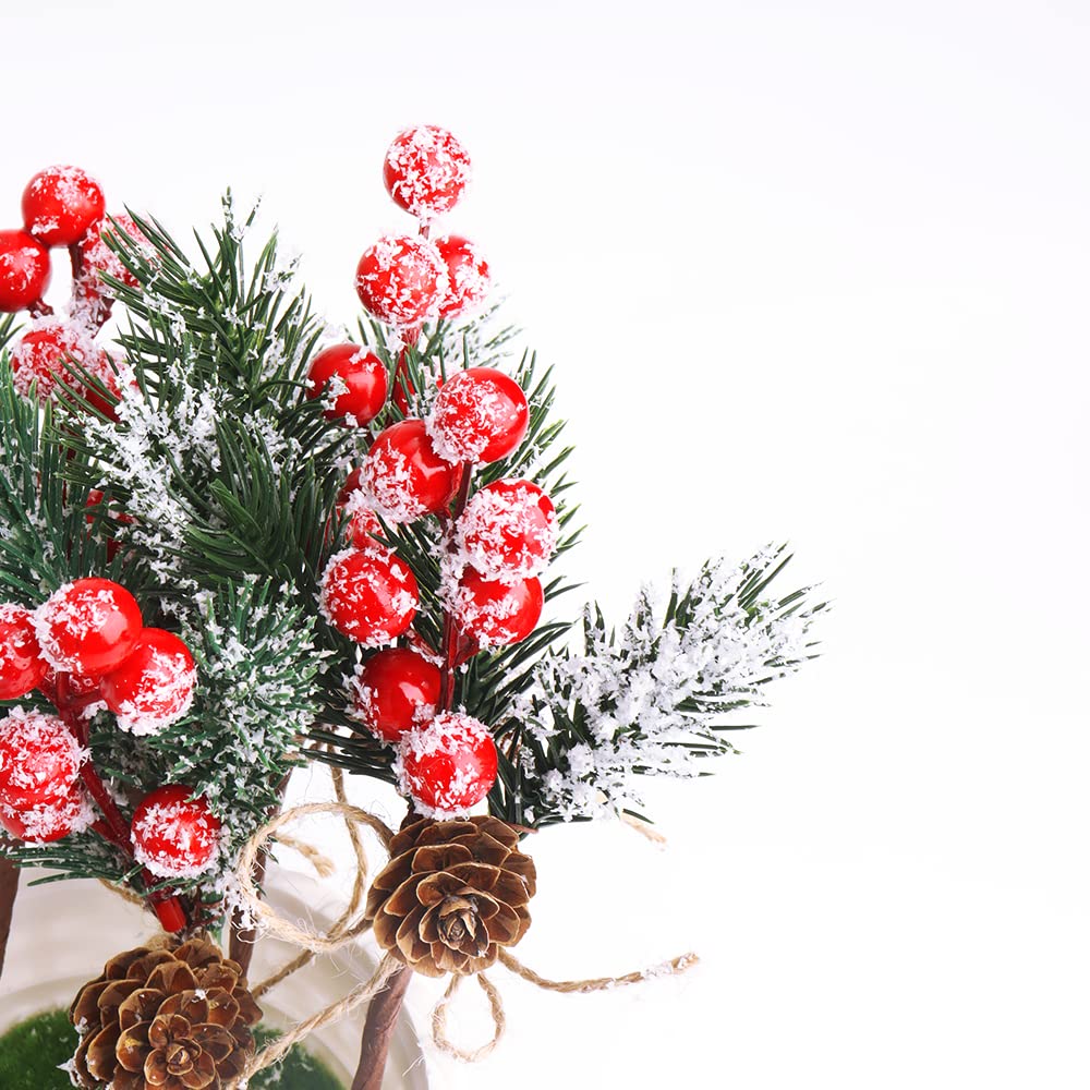 10 Pcs Red Berry Stems - Pine Cones for Crafts,Pine Cones for Decorating,Red Berry Wreath Floral Picks,Valentine's Day Mother's Day,Birthday Party Decoration,Gift Wrap Embellishment