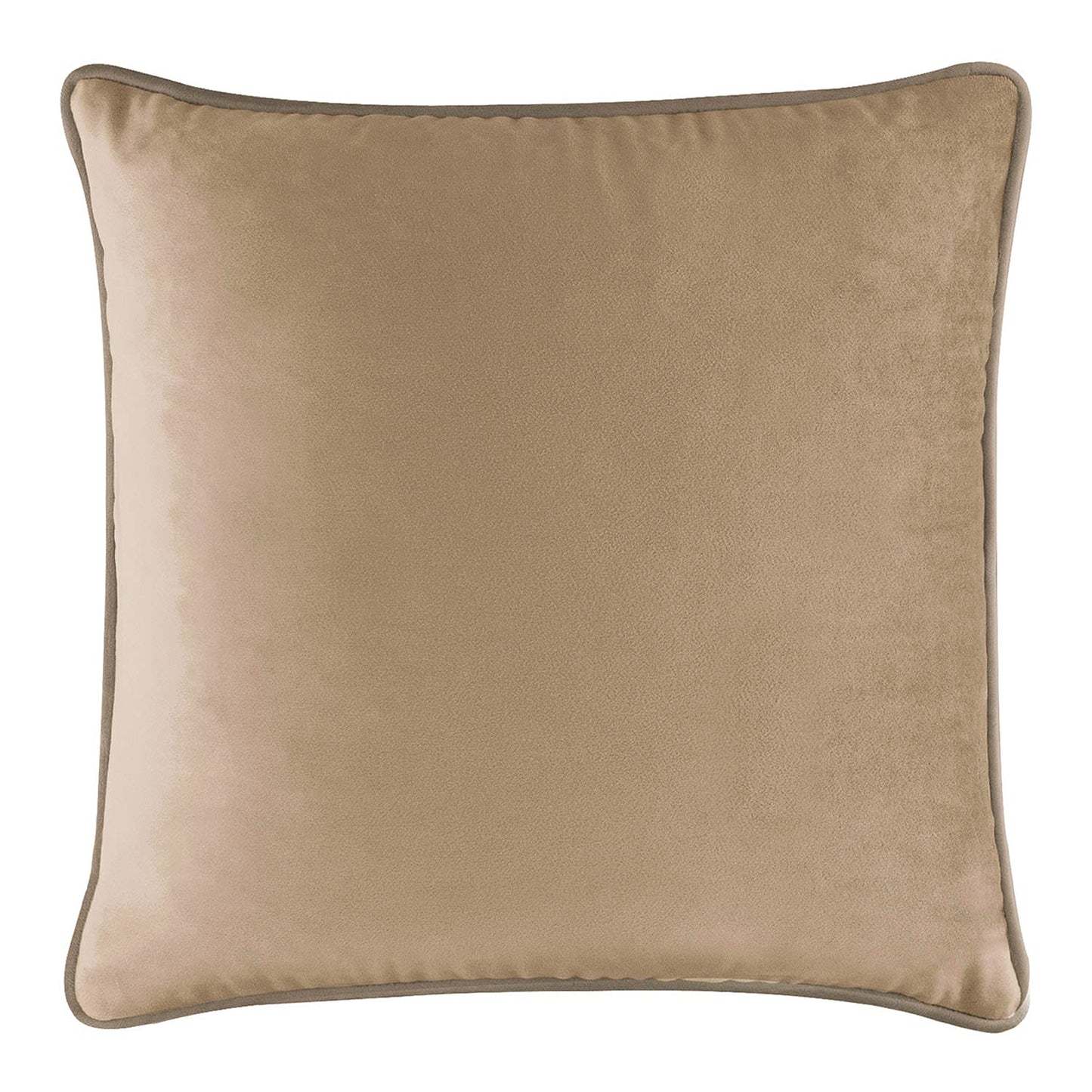 Coordinating Pillow, Washable Cover, Feather Insert, for Functional, Comfortable Home Decor, Champagne Velvet, 20x20, Sold Individually