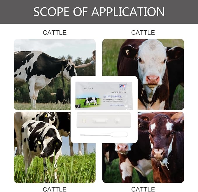 2Pcs Cow Pregnancy Test Paper High Precision Cattle Early Detection Strips Fast Results Vacuum-Packed for Safety and Health for Dairy Livestock