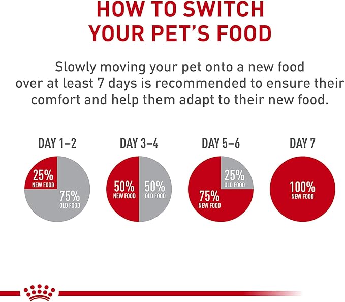 Royal Canin Feline Care Nutrition Digest Sensitive Loaf in Sauce Canned Cat Food, 3 oz., Case of 24