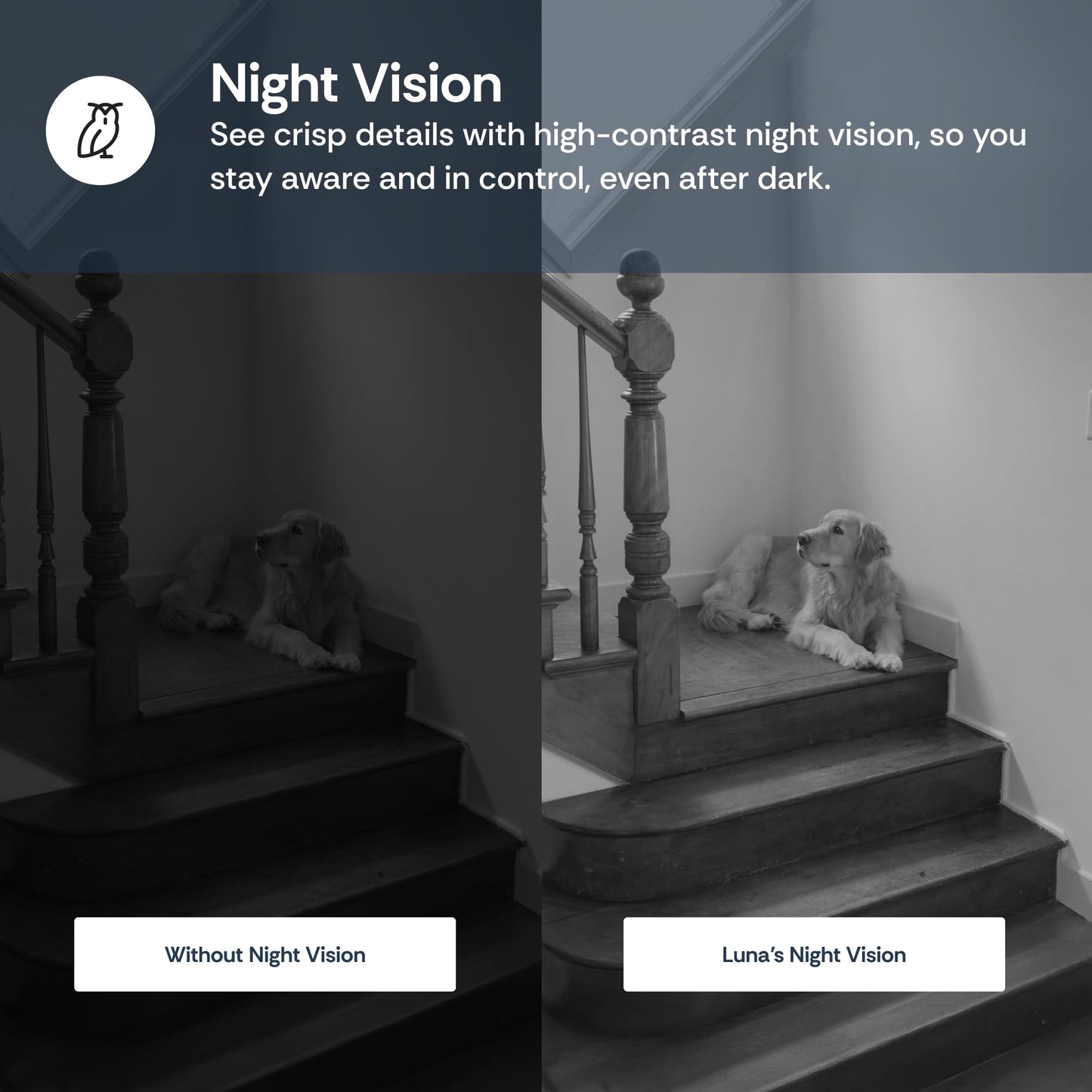 Luna Indoor Camera 360-Degree Pan/Tilt, Pet/Person/Vehicle AI Motion Detection, Plug-in, Night Vision, Two Way Audio, Cloud Storage, Wi-Fi Camera for Room Office Smart Home Security (White)