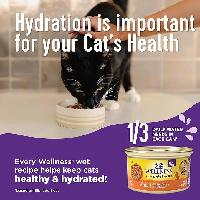 Wellness Complete Health Gravy Adult Wet Cat Food, Natural, Protein-Rich, Grain Free, 5.5 Ounce, 12 Pack, (Chicken & Tuna Dinner)
