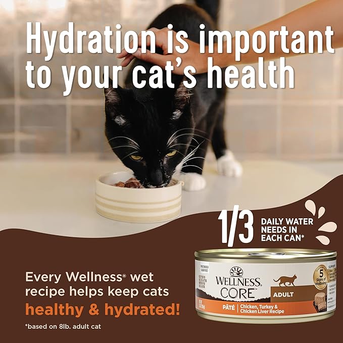 Wellness CORE+ Skin & Coat Pate Adult Wet Cat Food, Natural, Protein-Rich, Grain Free, 2.8 Ounce, 12 Pack (Salmon & Sardine)