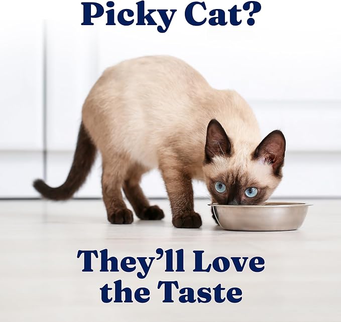 Solid Gold Wet Cat Food Pate for Indoor Cats - Healthy Canned Cat Food Pate w/Real Chicken, Omega Fatty Acids, Vitamins & Minerals - Grain Free & Gluten Free Can Meals for Cats & Kittens - 24ct/3oz