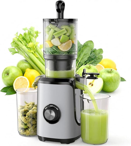NEWBULIG Cold Press Juicer Machines, Masticating Juicer with High Juice Yield, Reverse Function, Stops Oxidation and Easy to Clean for Vegetables & Fruits, Silver