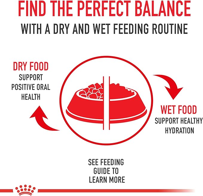 Royal Canin Feline Health Nutrition Indoor Adult Dry Cat Food, 7-Pound