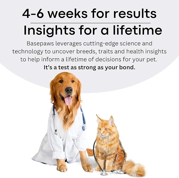 Basepaws Cat DNA Test Kit 2 Pack- Comprehensive Breed, Health and Dental Analysis Across 114 Traits for Accurate and Easy-to-Use Genetic Insights