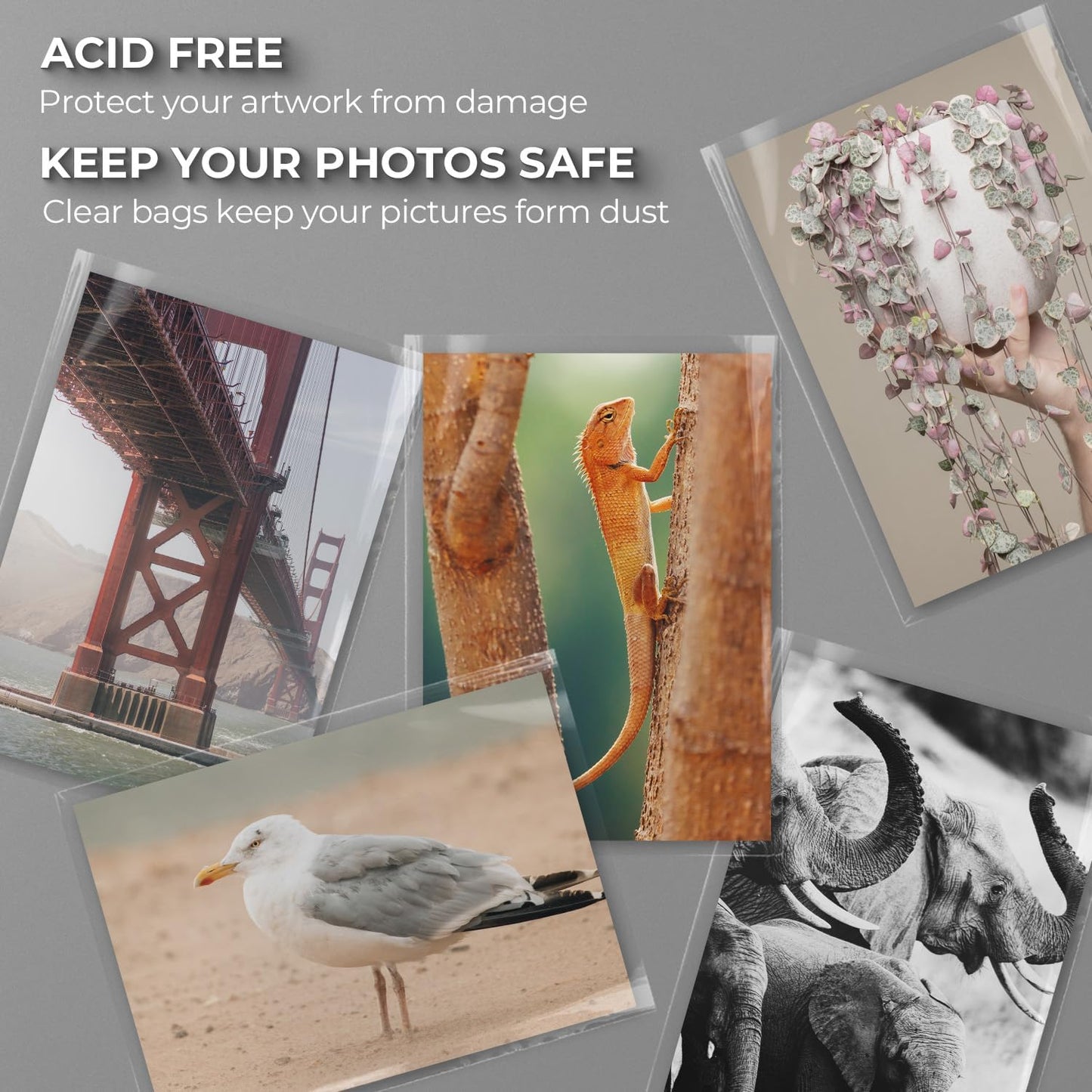Frametory, 25 Pack 11 3/7" x 17 1/2" Acid-Free Clear Plastic Bags, Self Seal Crystal Photo Sleeves for 11X17 Art Prints, Pictures & Framing Mat Mattes