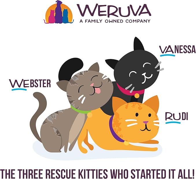 Weruva Cats in The Kitchen, Pumpkin Lickin' Chicken with Chicken Breast in Pumpkin Soup Cat Food, 3oz Pouch (Pack of 12)