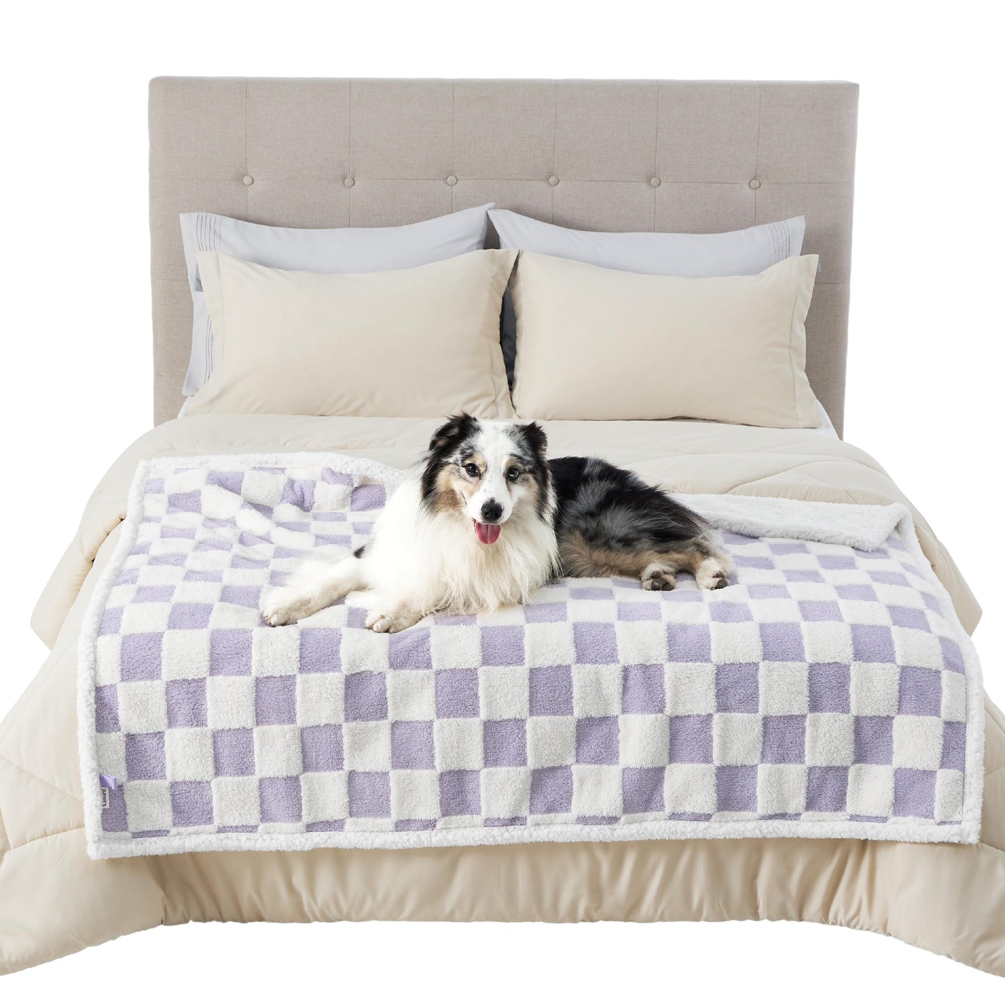 Lesure Waterproof Dog Blanket for Large Dogs - Washable Double Sided Dog Blankets with Warm Jacquard Shag and Soft Sherpa Fleece, Pet Cat Blanket for Bed Couch Protection, 3D Textured Checks, Purple