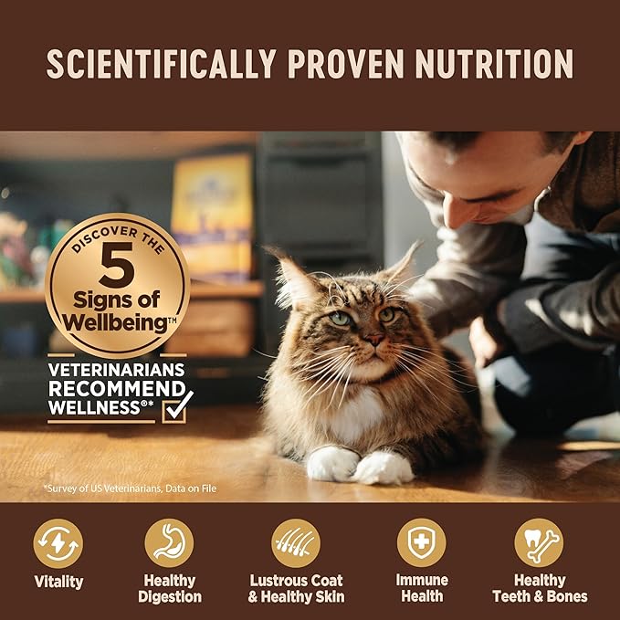 Wellness CORE+ Digestive Health Pate Adult Wet Cat Food, Natural, Protein-Rich, Grain Free, 3 Ounce, 12 Pack (Chicken & Turkey Variety Pack)