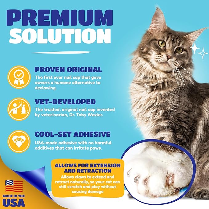 Soft Claws Cat Nail Caps for Medium Cats – (40 Caps, Clear) - Made in USA - Veterinarian-Developed | Protects Furniture & Skin - Easy to Apply, Long-Lasting Anti-Scratch Soft Cat Claw Covers
