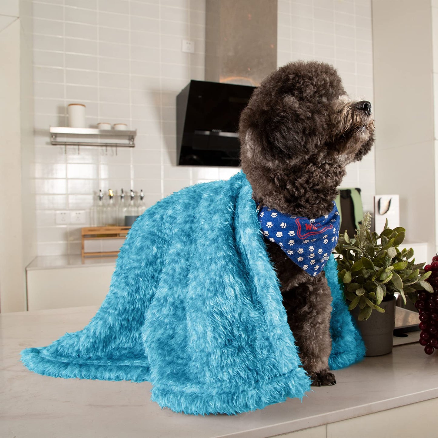 MACEVIA Fluffy Fleece Dog Blankets,Warm Soft Fuzzy Pets Blanket for Puppy,Small,Medium,Large Dogs and Cats,Plush Pet Throws for Bed,Couch,Sofa,Travel(24x29 Inch, Sea Blue)