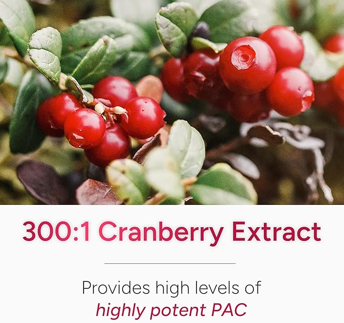 40mg PAC Plus D-Mannose and Probiotics | Most Powerful Cranberry Supplement for Urinary Tract Health | Cranberry Pills for Women & Men | High Potency Defense & Cleansing Support | 60 Capsules