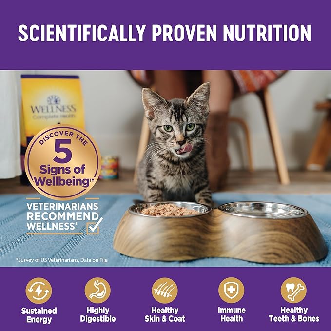 Wellness Complete Health Minced Adult Wet Cat Food, Natural, Protein-Rich, Grain Free, 5.5 Ounce, 24 Pack, (Turkey Entrée)