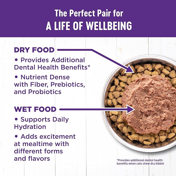 Wellness Complete Health Pate Adult Wet Cat Food, Natural, Protein-Rich, Grain Free, 3 Ounce, 24 Pack, (Chicken)