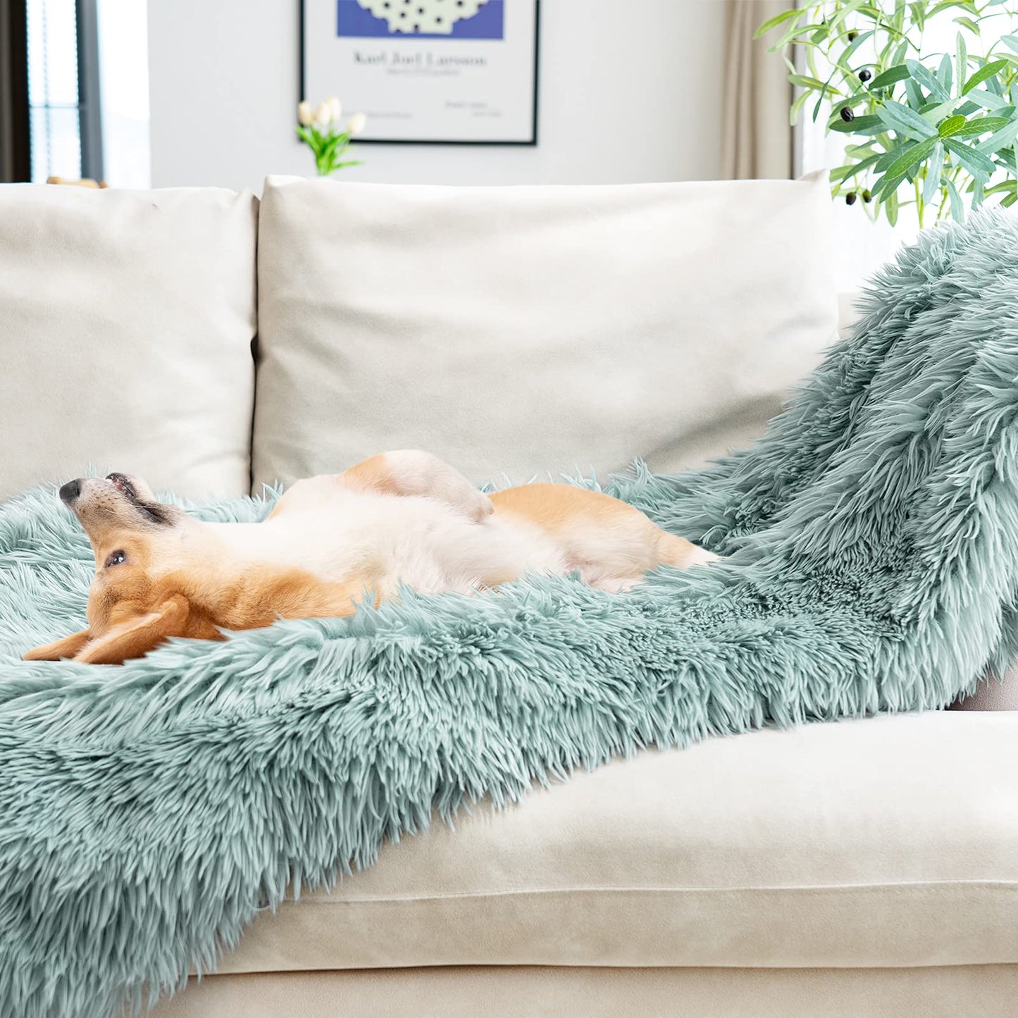 JONIYEAR Decorative 2.8" Long Hair Soft Fuzzy Faux Fur Throw Blanket 50" x 60",Luxury Reversible Fluffy Blankets for Couch Sofa Chair,Lightweight Accent Cozy Plush Thick Warm Shaggy Furry Blanket,Aqua