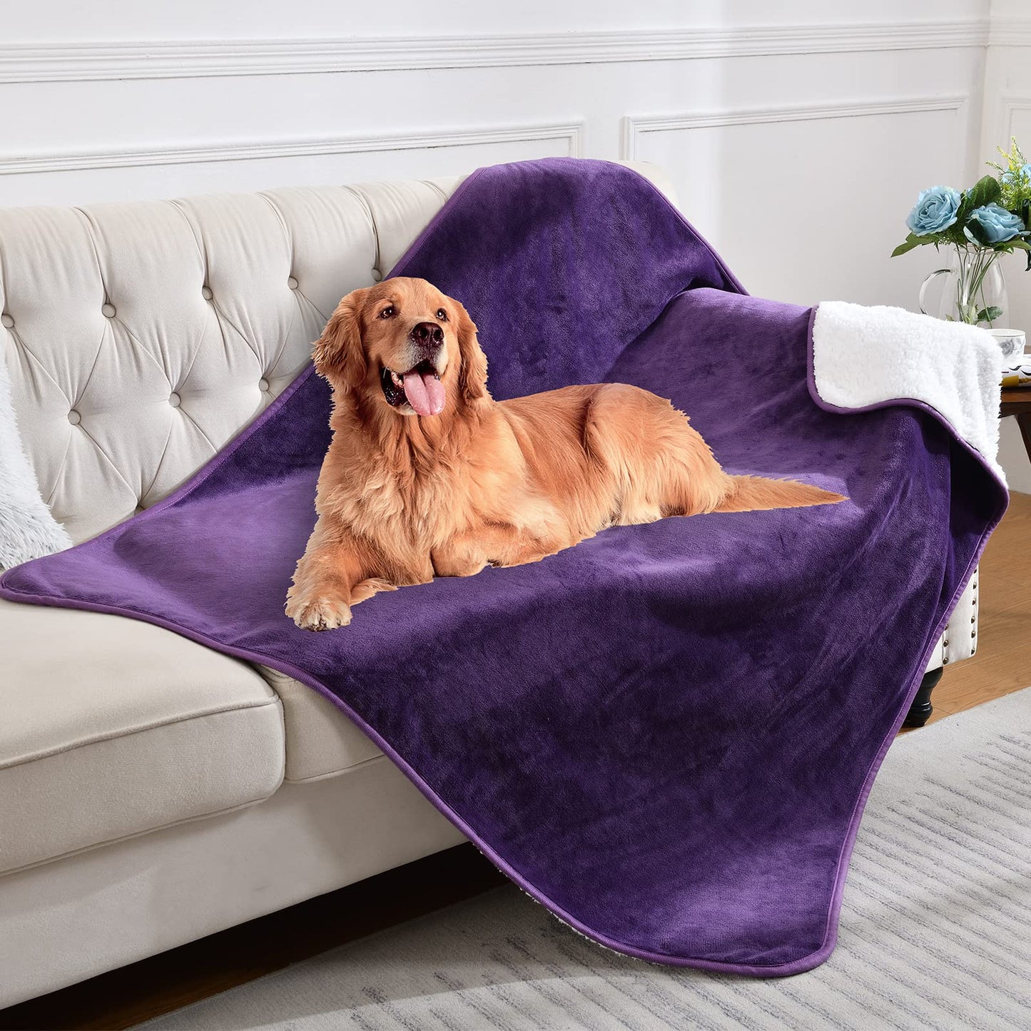 Yaning Waterproof Blanket for Bed Couch Sofa, Soft Liquid Pee Proof Pet Blanket for Dog Puppy Cat, Reversible Sherpa Fleece Furniture Protector (Dark Purple, 50x60 inches)