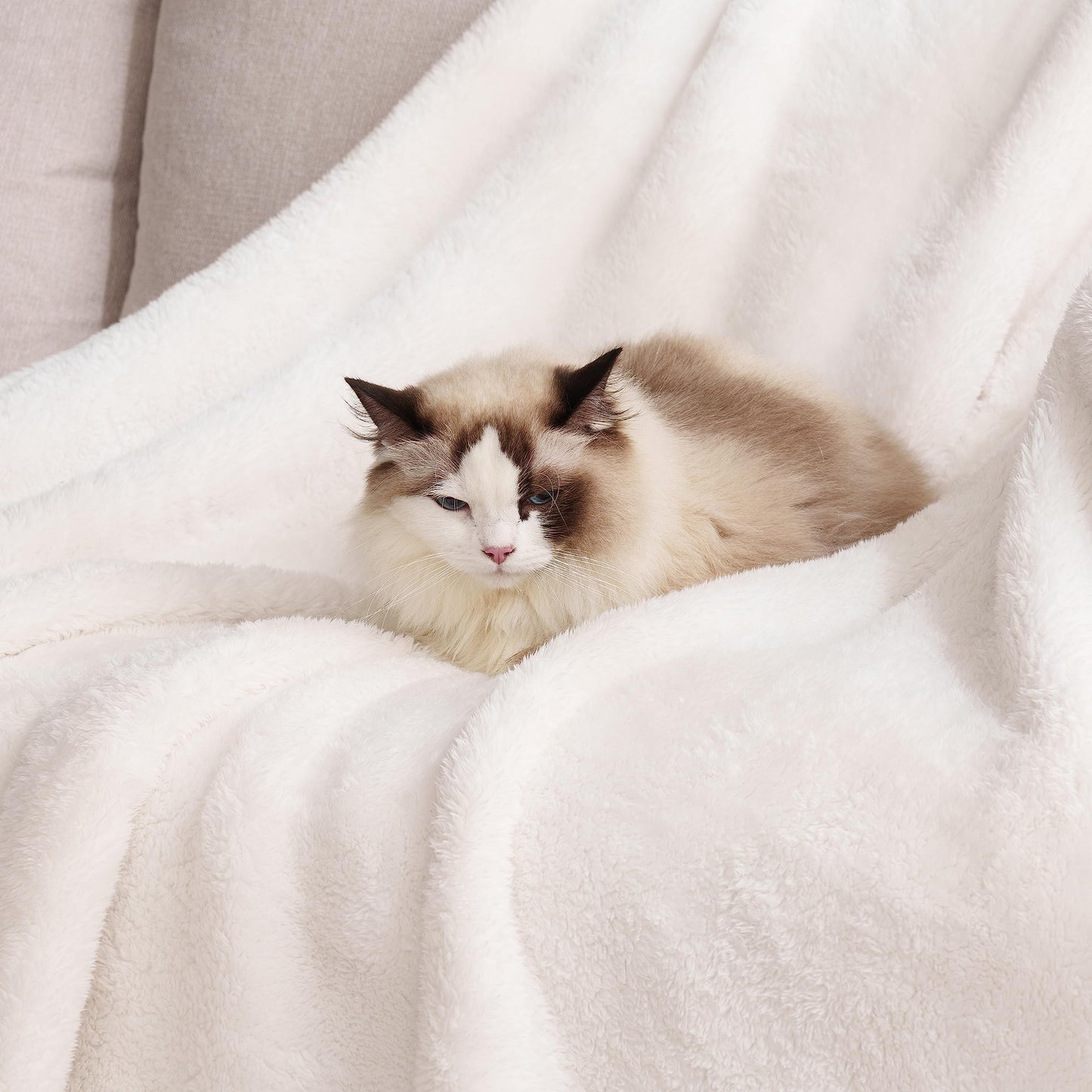 Berkshire Blanket Classic Extra-Fluffy™ Plush Throw Blanket, Soft Fuzzy Fluffy Long Hair Throw Blanket for Couch Sofa Bed, Cream, 50x60 Inches
