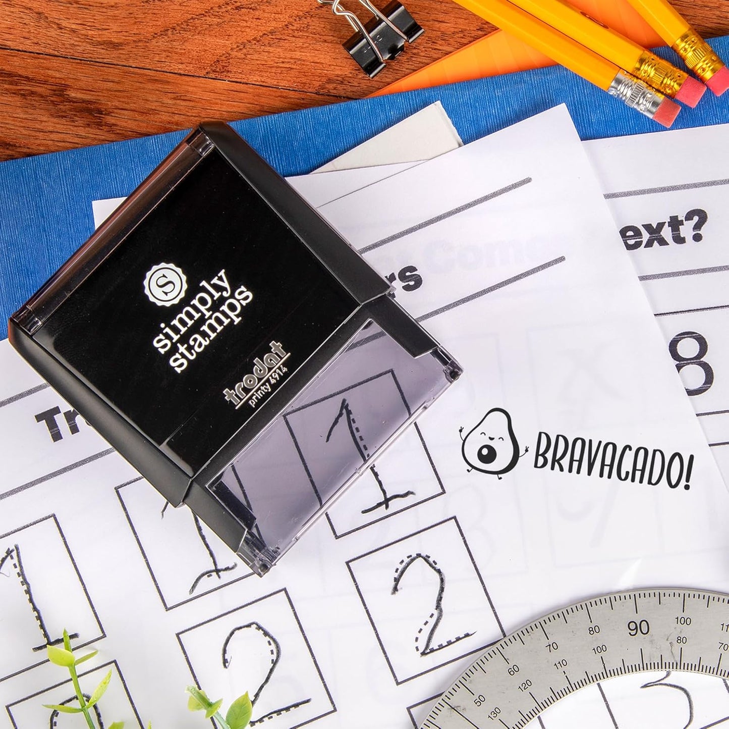 Custom Self-Inking Stamps | 49 Designs | Fun Phrases | Grading Made Easy | Classroom & Library Book Stamps (Bravacado, Large)