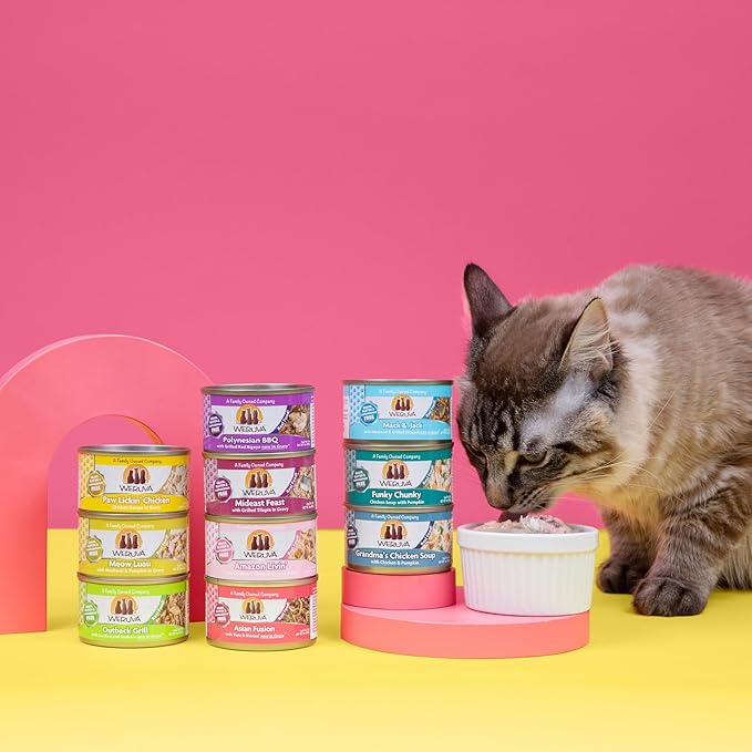 Weruva Classic Cat Food, Meow Luau with Mackerel & Pumpkin in Gravy, 3oz Can (Pack of 24)