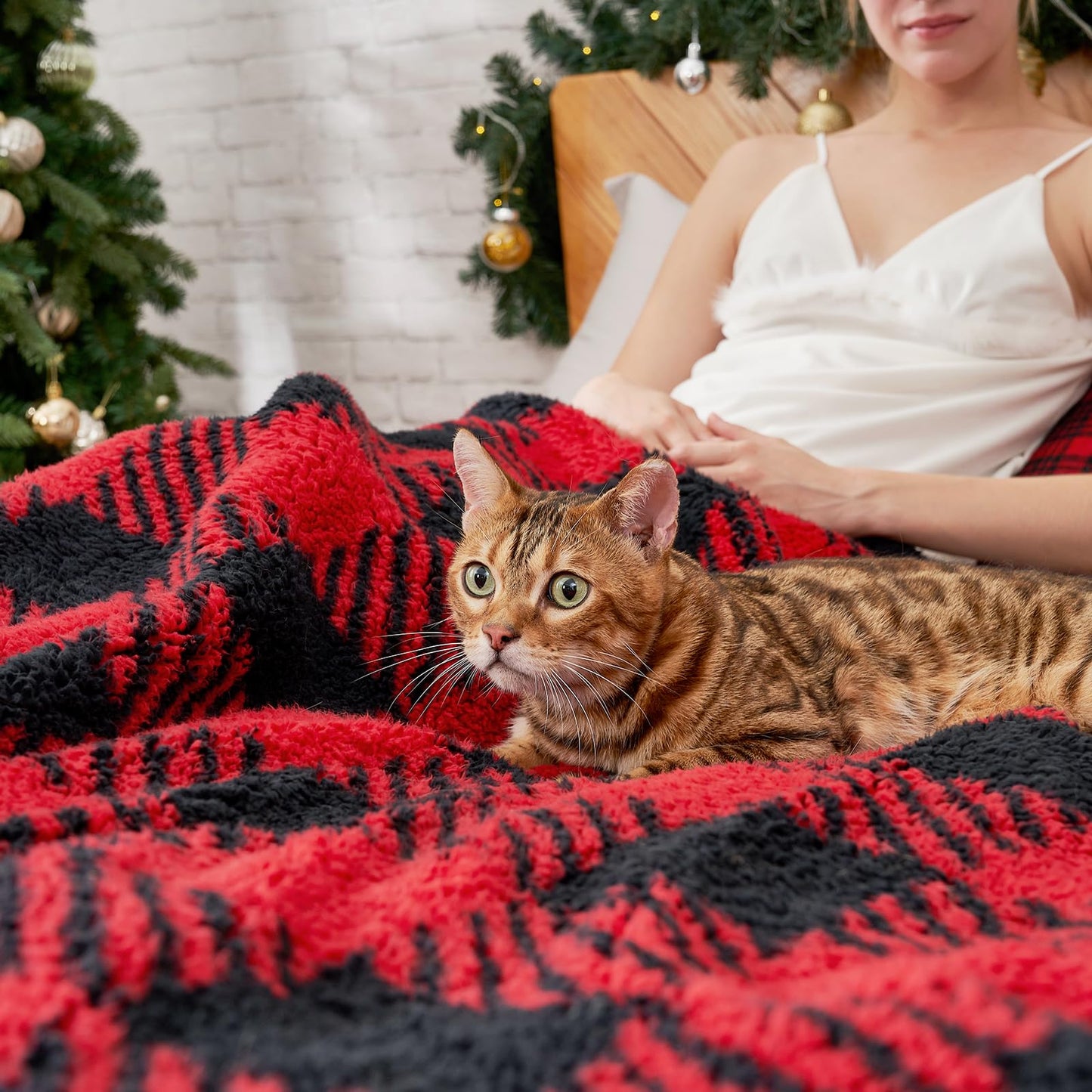 Cozy Bliss Ultra Soft Reversible Double Sherpa Sided Blanket, Buffalo Plaid Throw Blanket Fluffy Thick Warm Plush Fuzzy Blanket for Couch, Bed and Gifts (Red/Black Buffalo Check, 50" x 60")