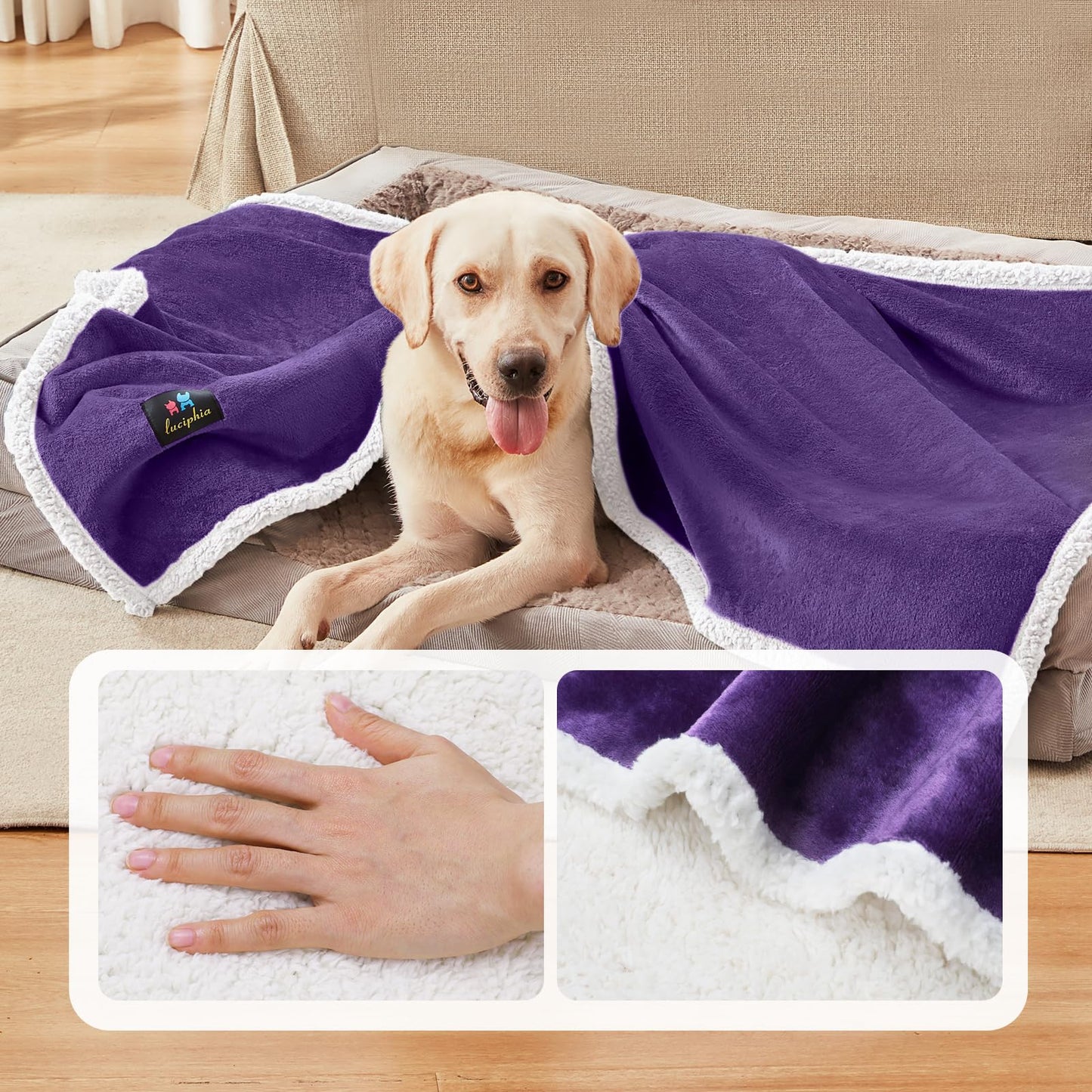 Luciphia Waterproof Dog Blanket for Large Dogs Small Pet Cat Blankets for Couch Bed Liquid Proof Furniture Protector Washable Soft Sherpa Fleece Puppy Reversible Cover Purple White Medium（57" x 40"）
