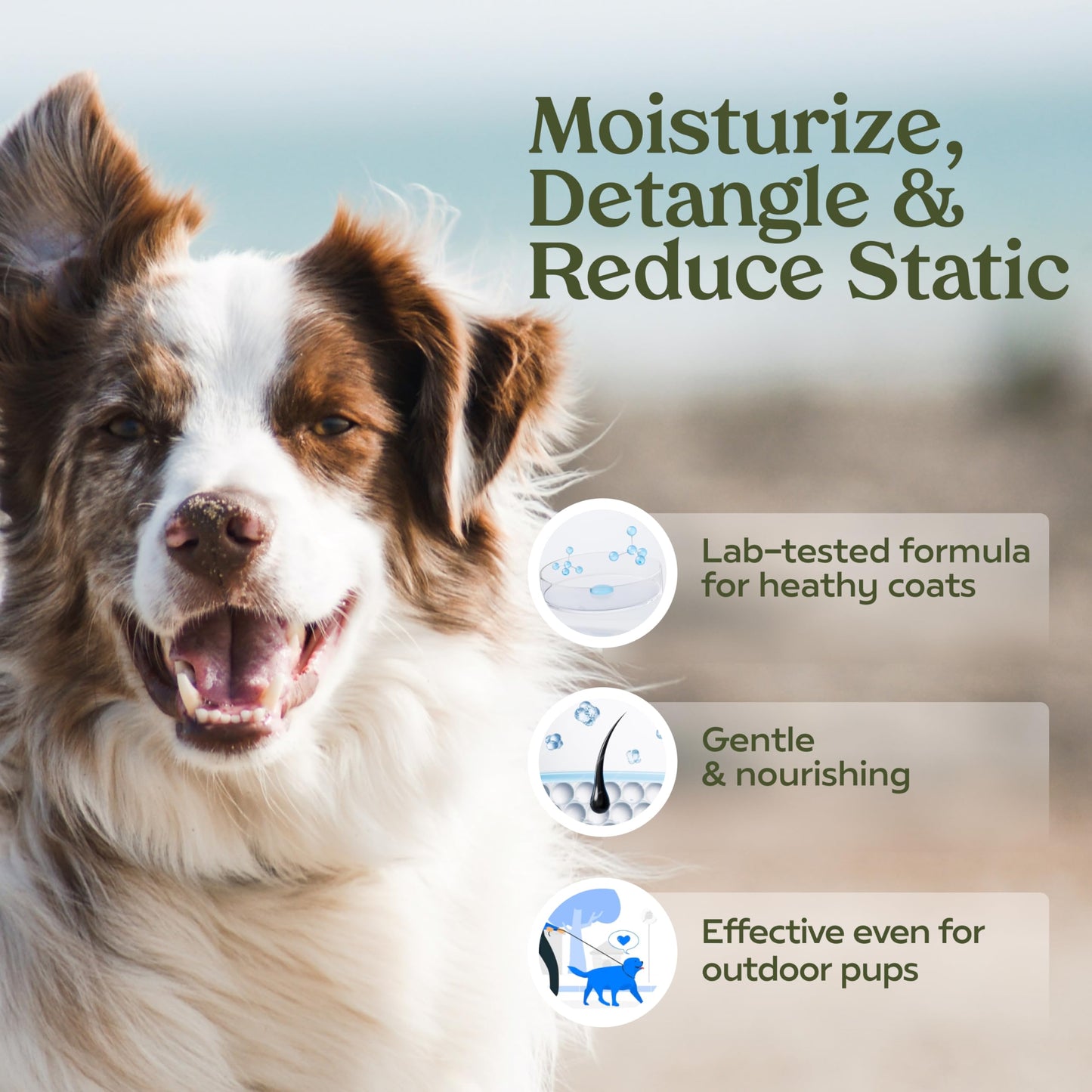 PAWFUME Dog Perfume Spray for Grooming, Blue Ribbon, 1-Pack – Keep Your Pup Fresh All Day – Probiotic, Alcohol-Free, Detangling & Moisturizing – Salon-Quality Dog Spray Deodorizer Perfume