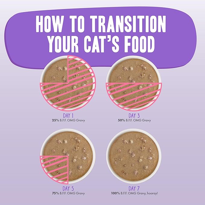 Weruva B.F.F. OMG - Best Feline Friend Oh My Gravy!, Purr-FECT Plannin'! with Chicken, Turkey & Salmon in Gravy Cat Food, 2.8oz Pouch (Pack of 12)