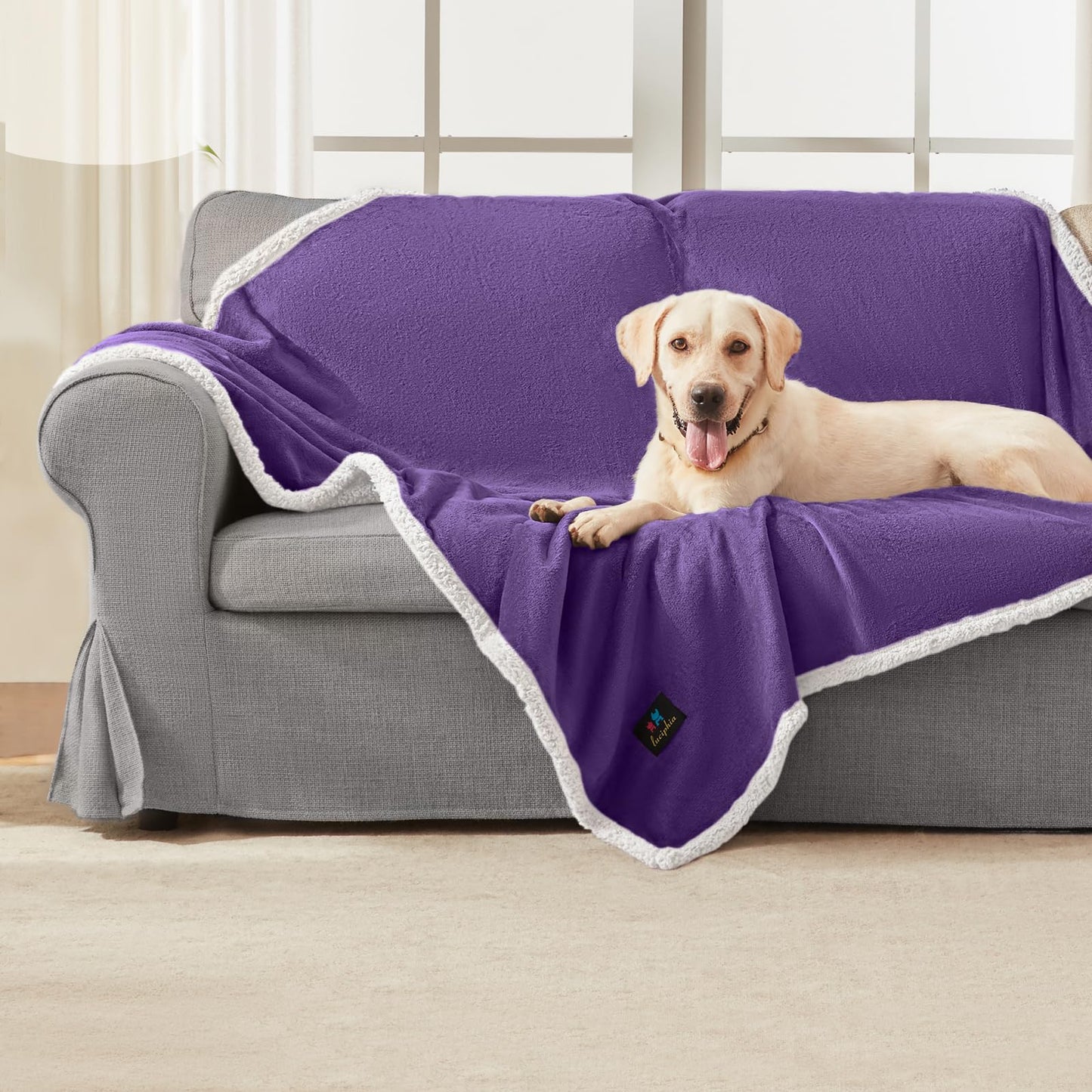 Luciphia Waterproof Dog Blanket for Large Dogs Small Pet Cat Blankets for Couch Bed Liquid Proof Furniture Protector Washable Soft Sherpa Fleece Puppy Reversible Cover Purple White Medium（57" x 40"）