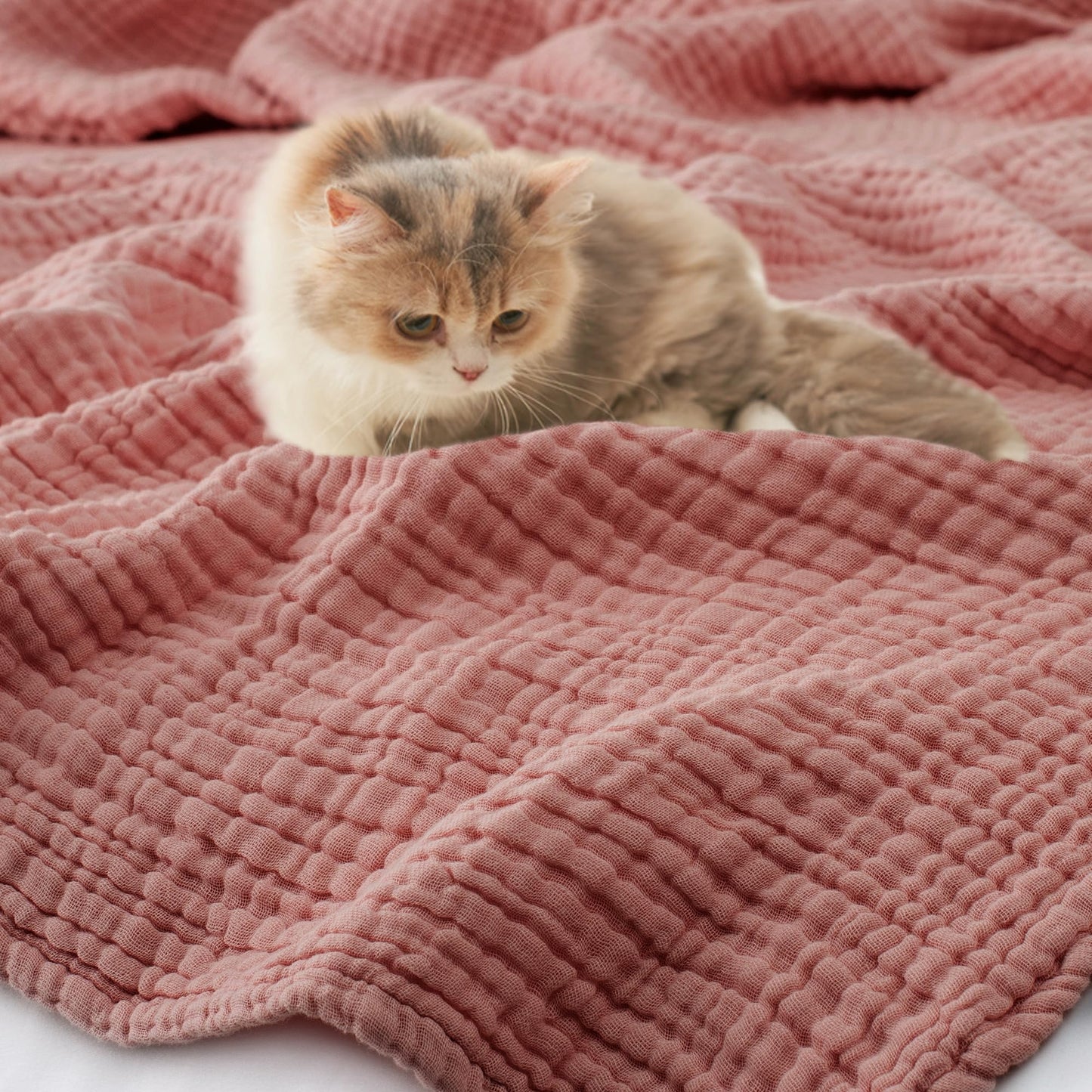 Carriediosa 100% Cotton Muslin Throw Blanket 50" X 70" Throw XL Size，4-Layers Summer Gauze Throws for Bed Couch，Soft Lightweight Breathable Linen Blankets Bedspread for Adults All Season，Mauve