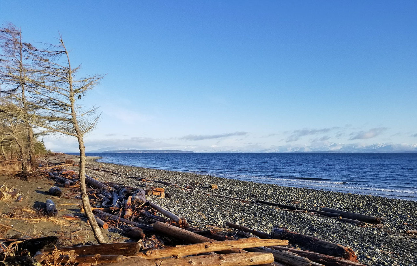Flaky Sea Salt - 8.8 oz of Large Flake Salt - Hand Harvested on Vancouver Island - Perfect for Seasoning, Baking, Cooking, and Finishing - All Natural Flaked Salt