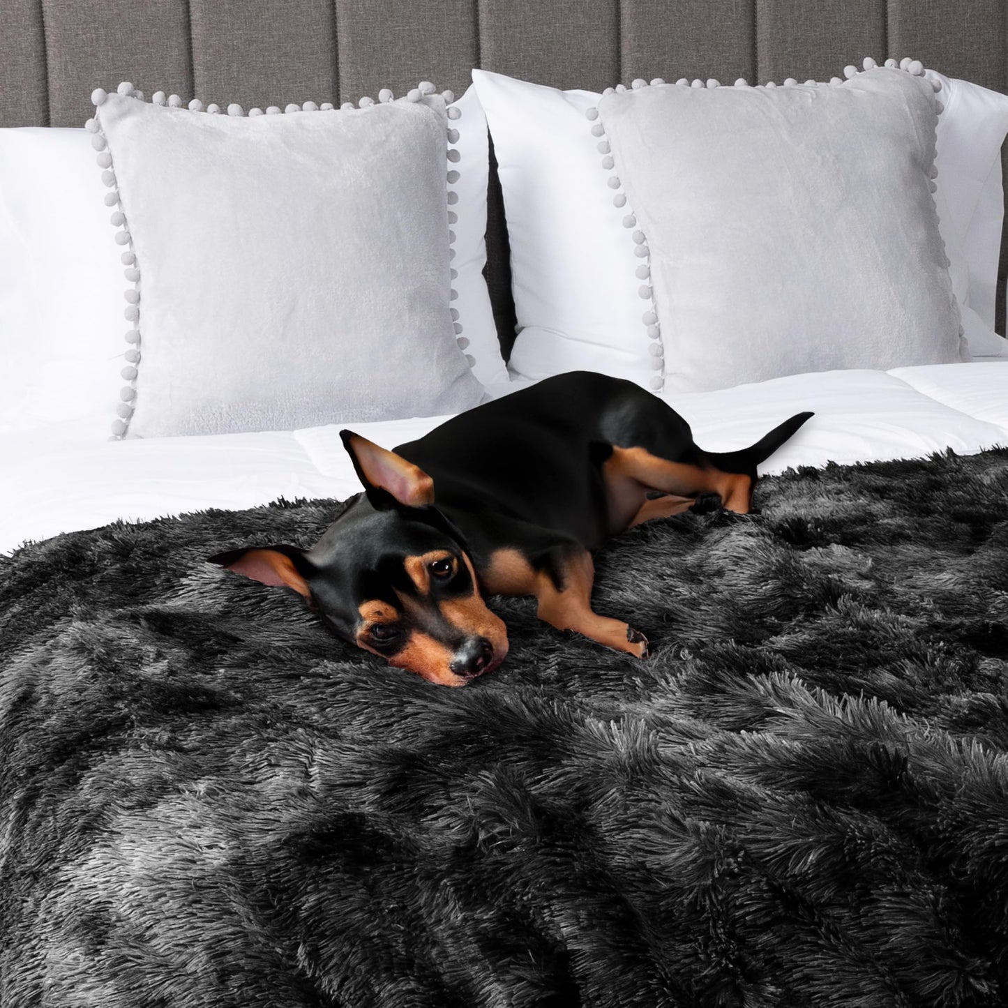 Pavilia Black Fluffy Bed Blanket, Queen Size, Fuzzy Plush Warm Large Blanket for Couch Sofa, Super Soft Thick Faux Fur Sherpa, Tie-Dye, 90x90