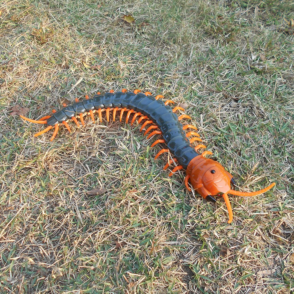 Tipmant Simulation RC Centipede Scolopendra Realistic Remote Control Vehicle Car Animal Insect Large Size Electric Prank Toy Kids Christmas Birthday Gifts (Navy Green)