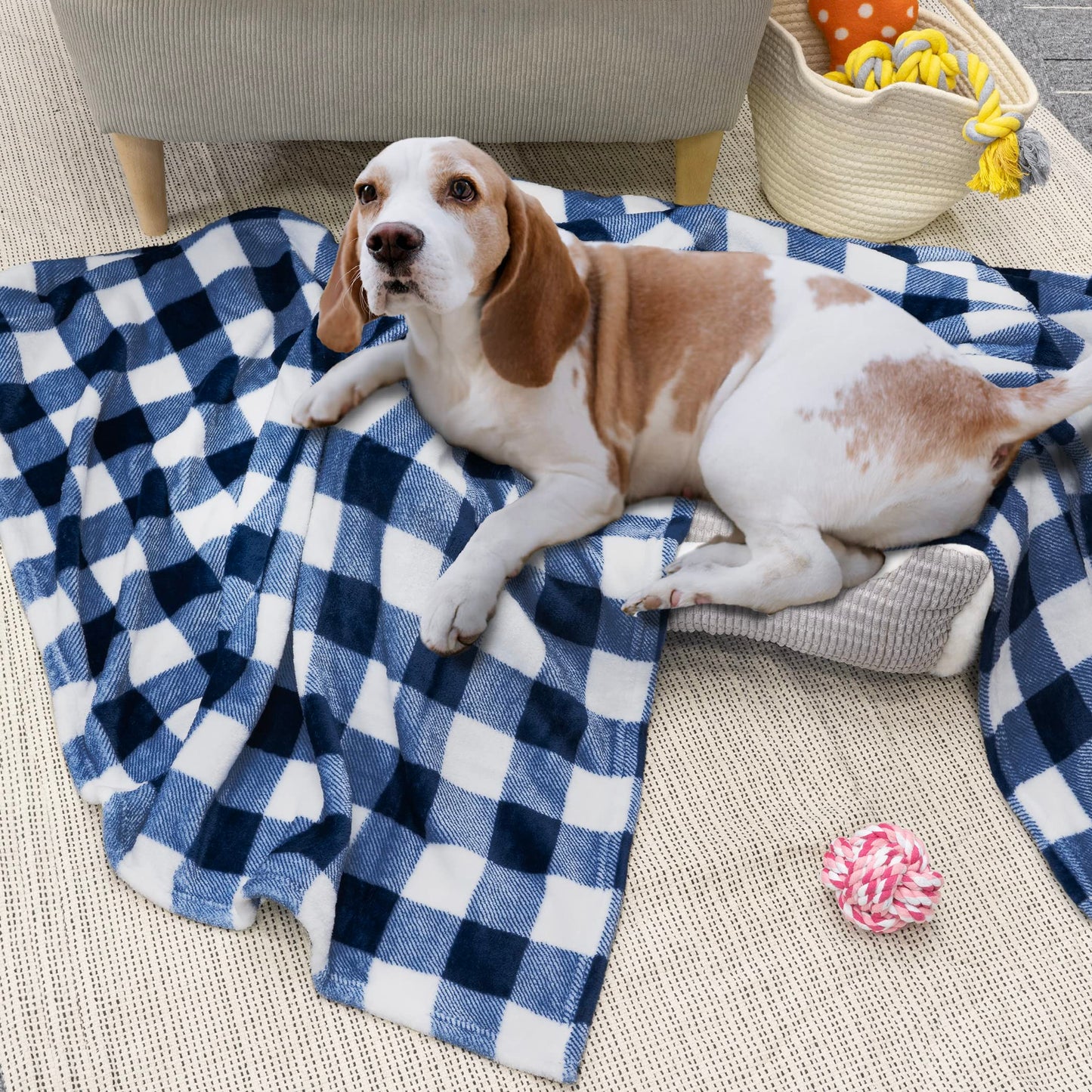 PAVILIA Buffalo Check Fleece Throw Blanket | Blue White Checkered Plaid Flannel Blanket | Soft Velvet Lightweight Microfiber Blanket for Couch Sofa | 50x60 Inches Checker Navy